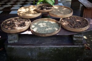 Igredient Luwak Coffee