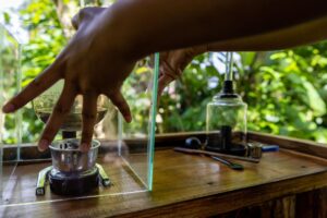 Luwak Coffee Processing Manual