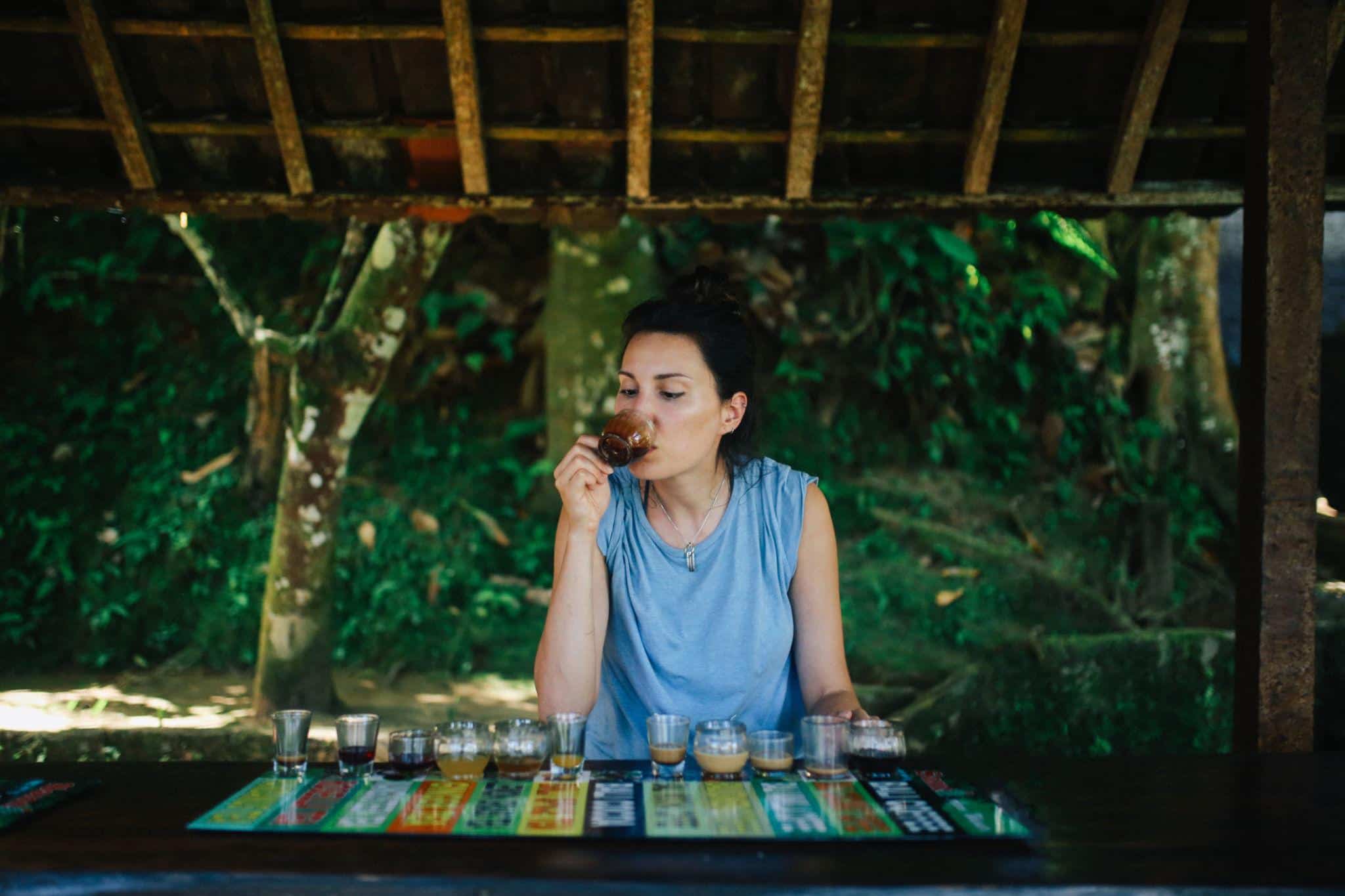 Luwak Coffee Testing Trips Bali