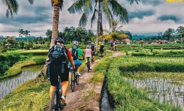 Bali Rice Field Cycling
