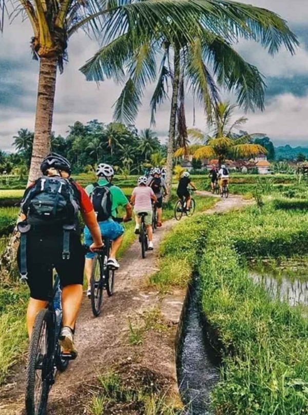 Bali Rice Field Cycling