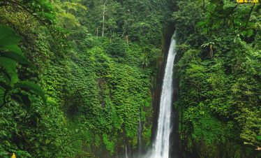 Sekumpul Waterfall, Bali Sekumpul Waterfall Tour