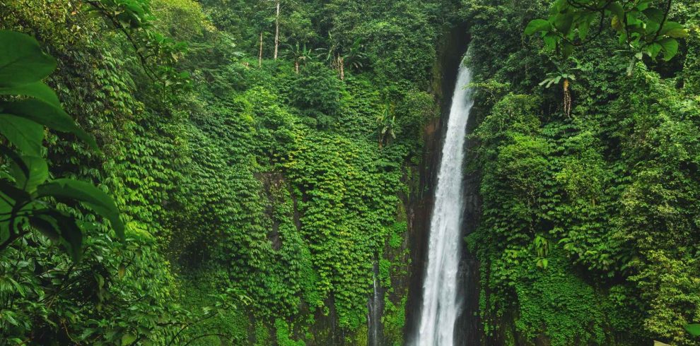 Sekumpul Waterfall, Bali Sekumpul Waterfall Tour
