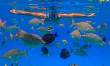 Snorkeling Blue Lagoon, Bali Snorkeling Blue Lagoon