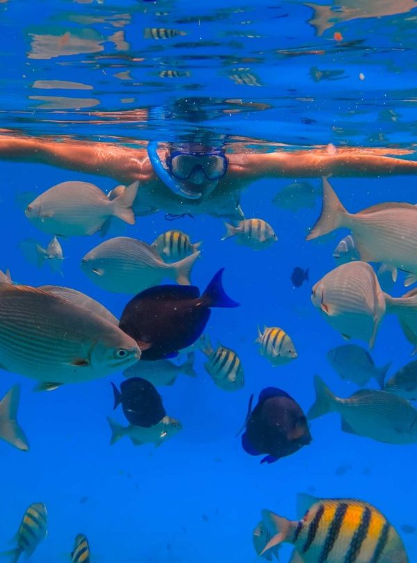 Snorkeling Blue Lagoon, Bali Snorkeling Blue Lagoon