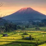Kasrangasem Bali, Trips Bali, trip types