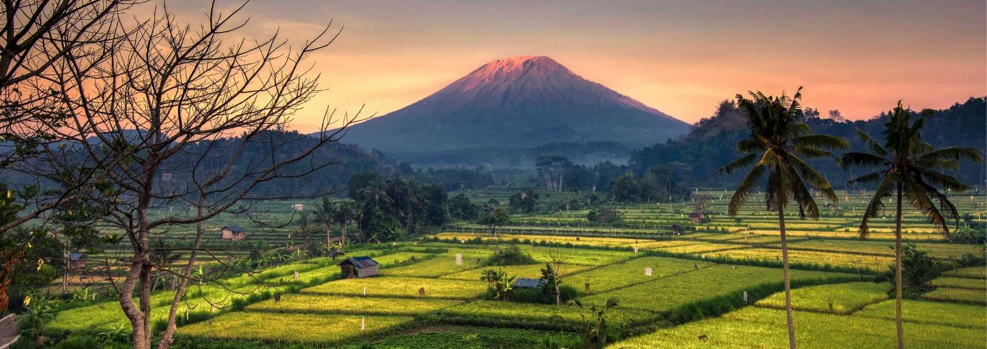 Kasrangasem Bali, Trips Bali