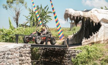 Bali Buggy Bridge View