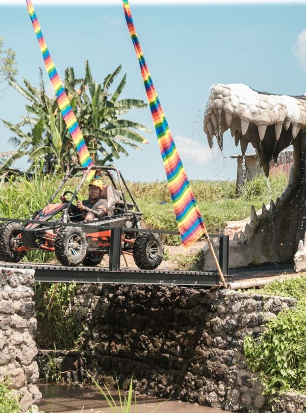 Bali Buggy Bridge View