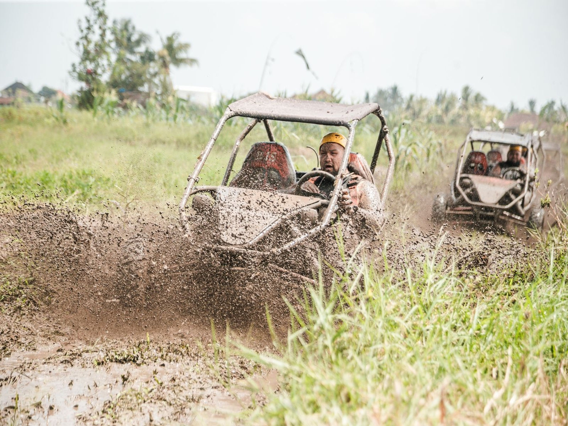 Ubud Buggy